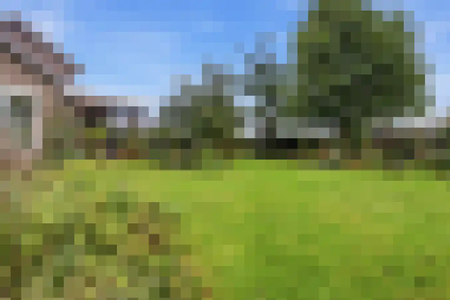 Hank 39 Wanroij thumbnail 29