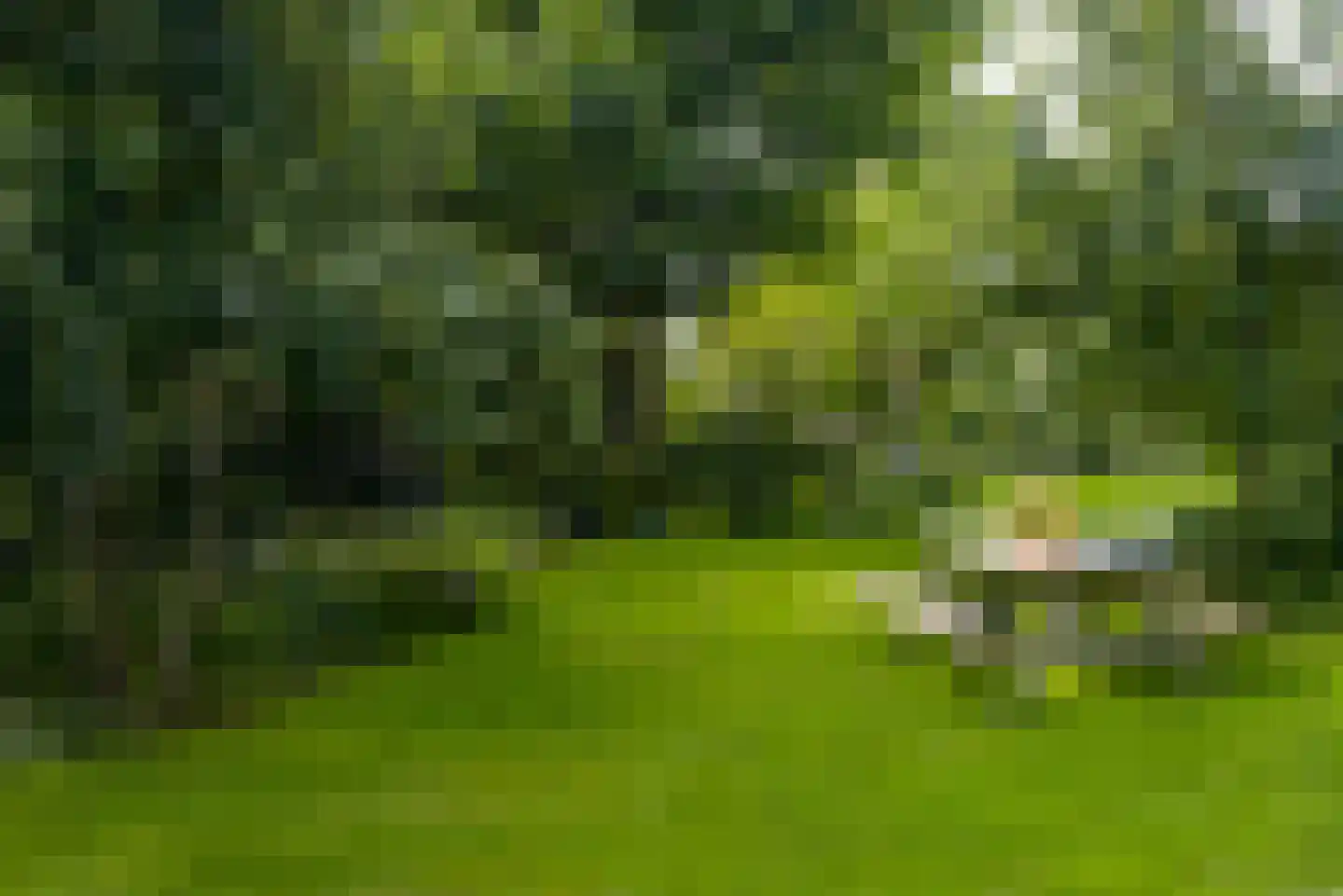 Hank 39 Wanroij thumbnail 30