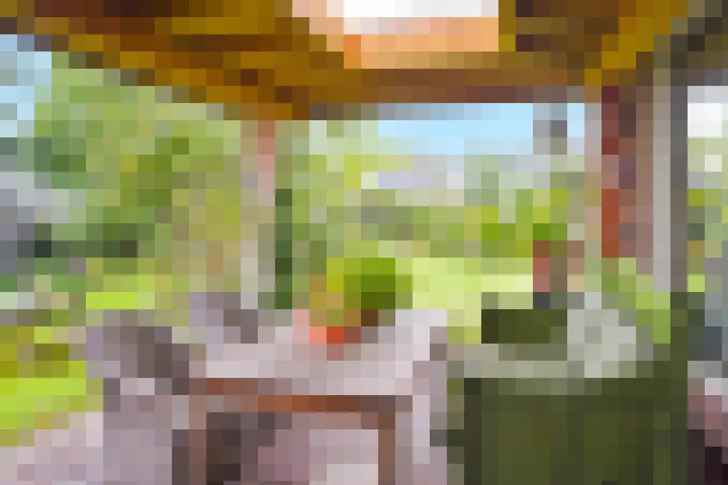 Hank 39 Wanroij thumbnail 32