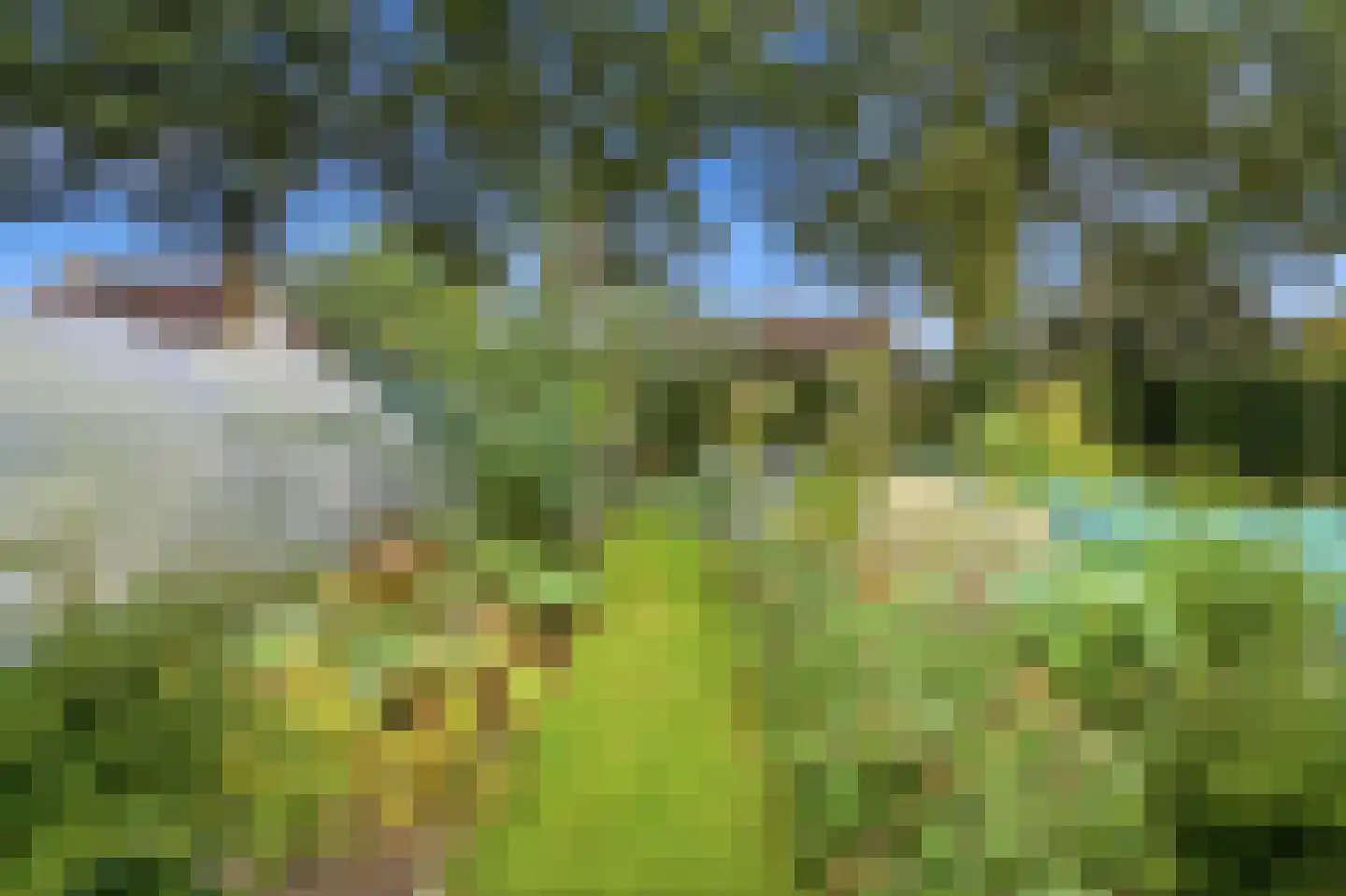 Hank 39 Wanroij thumbnail 35