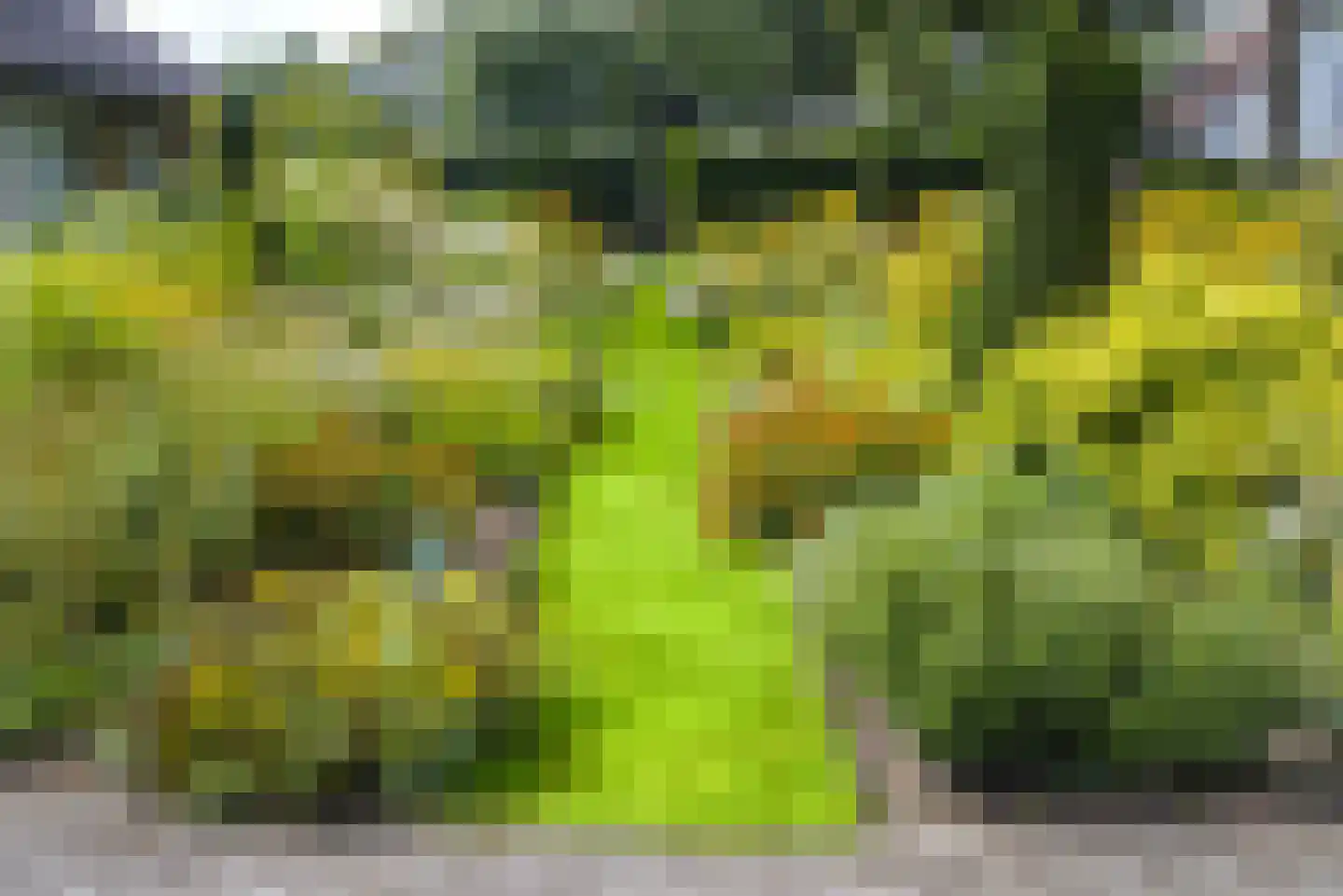 Hank 39 Wanroij thumbnail 37