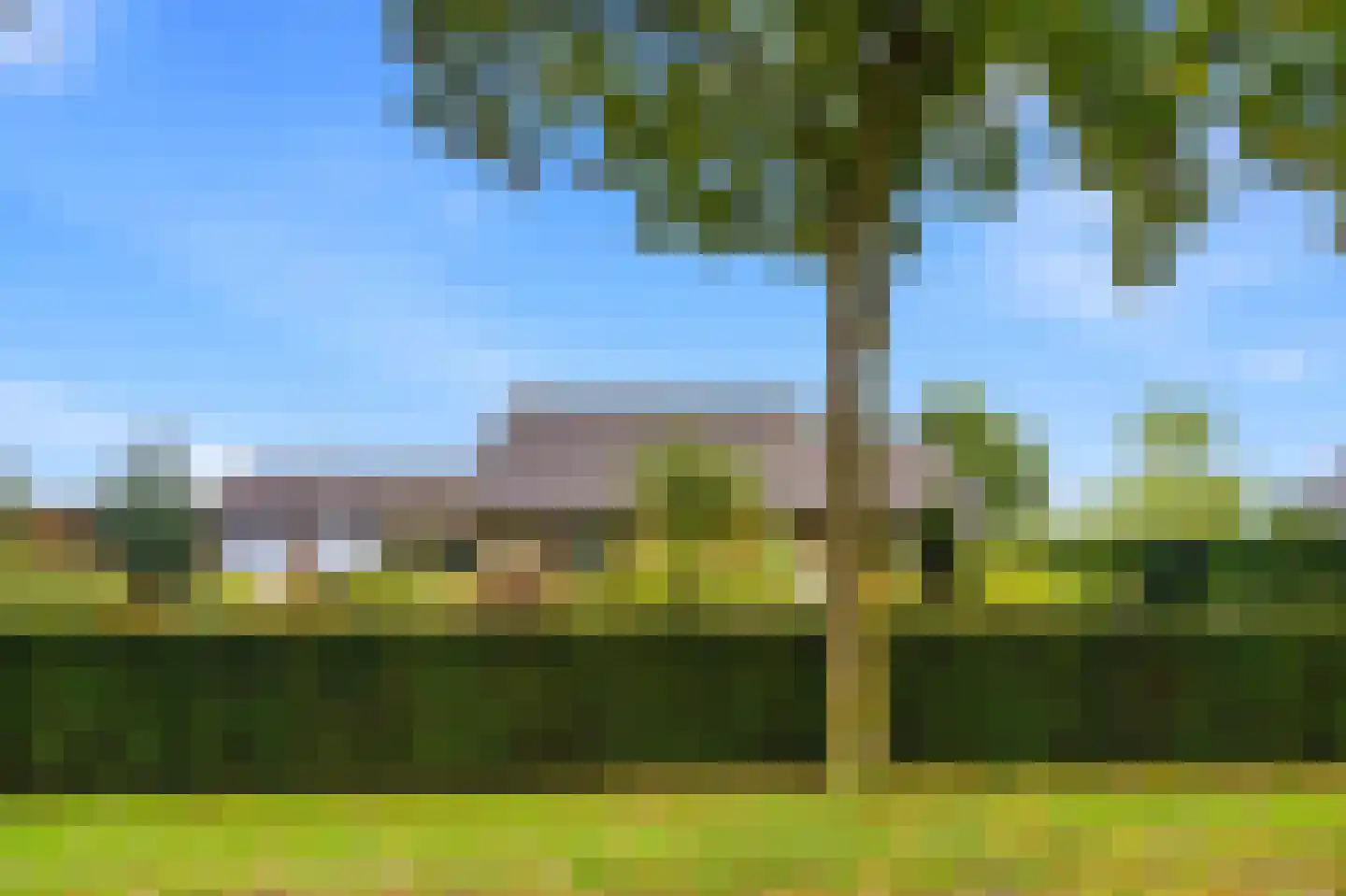 Hank 39 Wanroij thumbnail 44