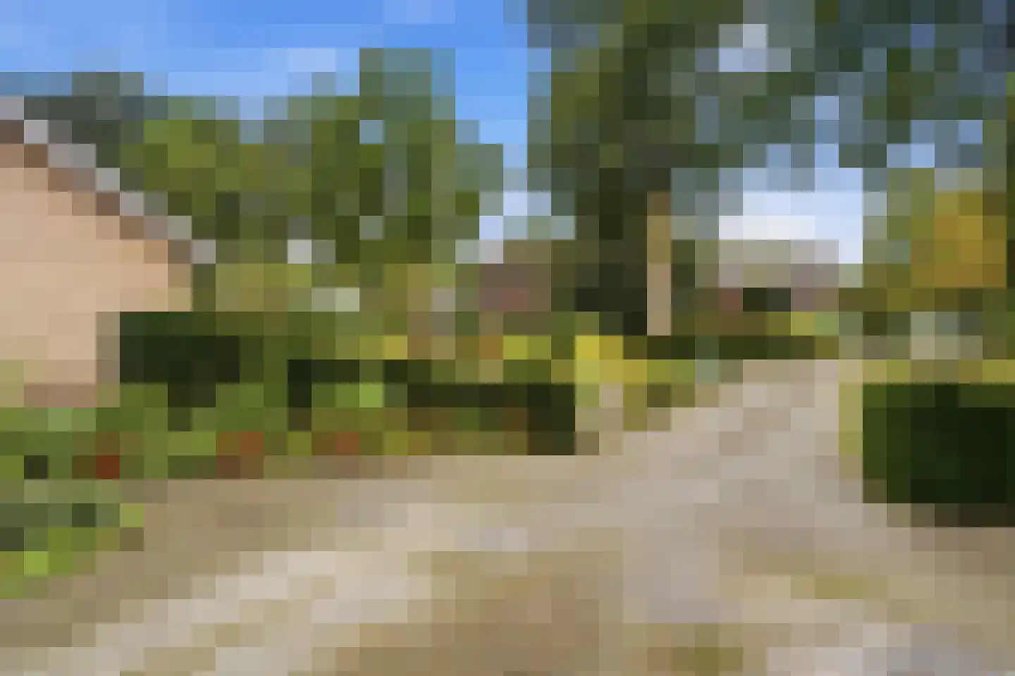 Hank 39 Wanroij thumbnail 46