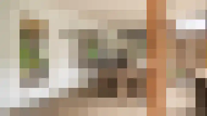 Hankemaborg 45 Almelo thumbnail 31