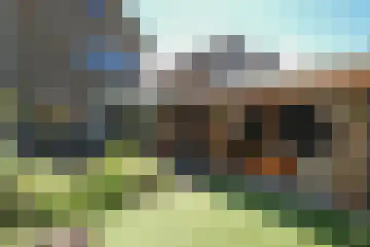 Hankemaborg 71 Almelo thumbnail 33