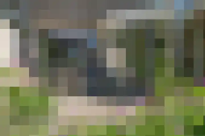 Hankemaborg 71 Almelo thumbnail 34