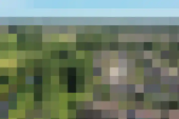 Hankemaborg 71 Almelo thumbnail 35