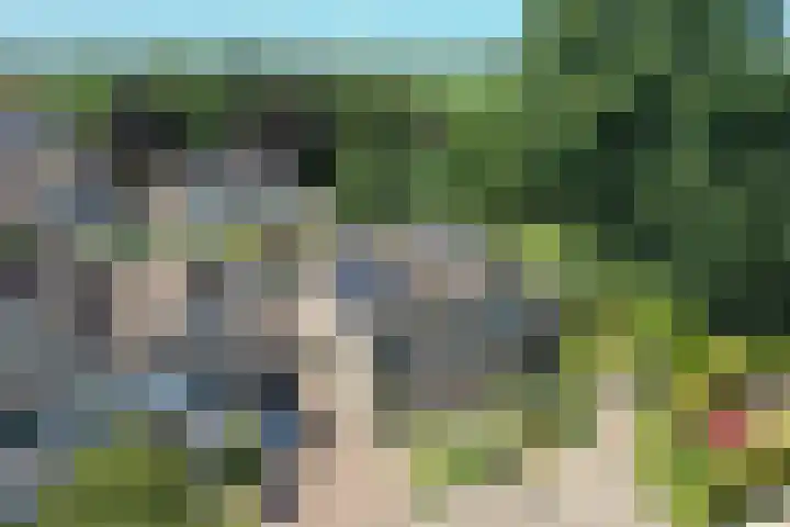 Hankemaborg 71 Almelo thumbnail 37