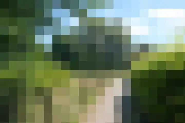 Hankemaborg 71 Almelo thumbnail 43