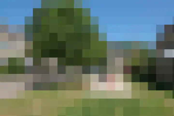 Hankemaborg 71 Almelo thumbnail 46