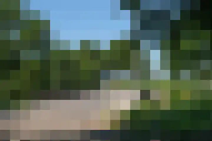 Hankemaborg 71 Almelo thumbnail 48
