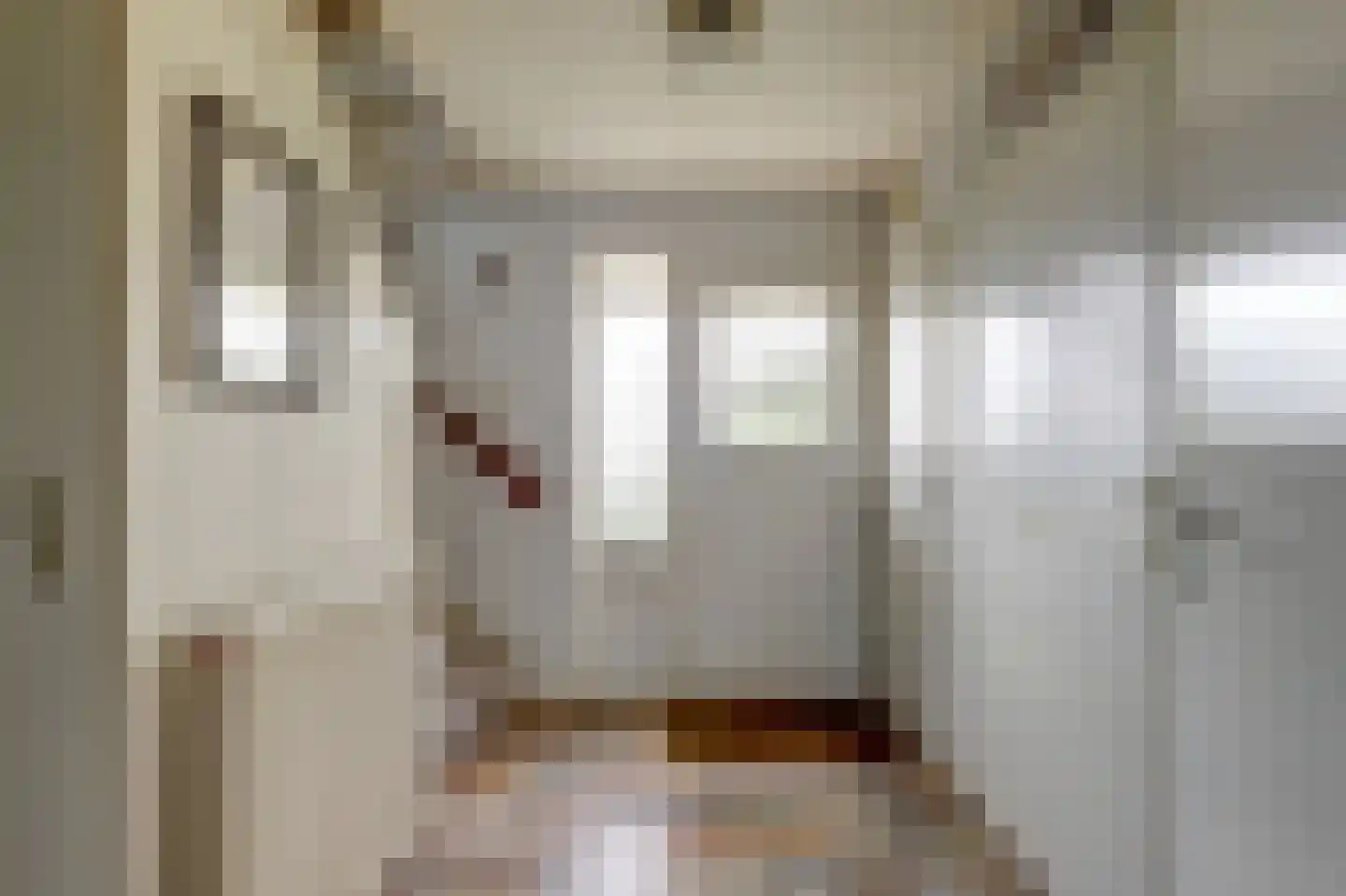 Hankse Buitenkade 55 Nieuwendijk thumbnail 11