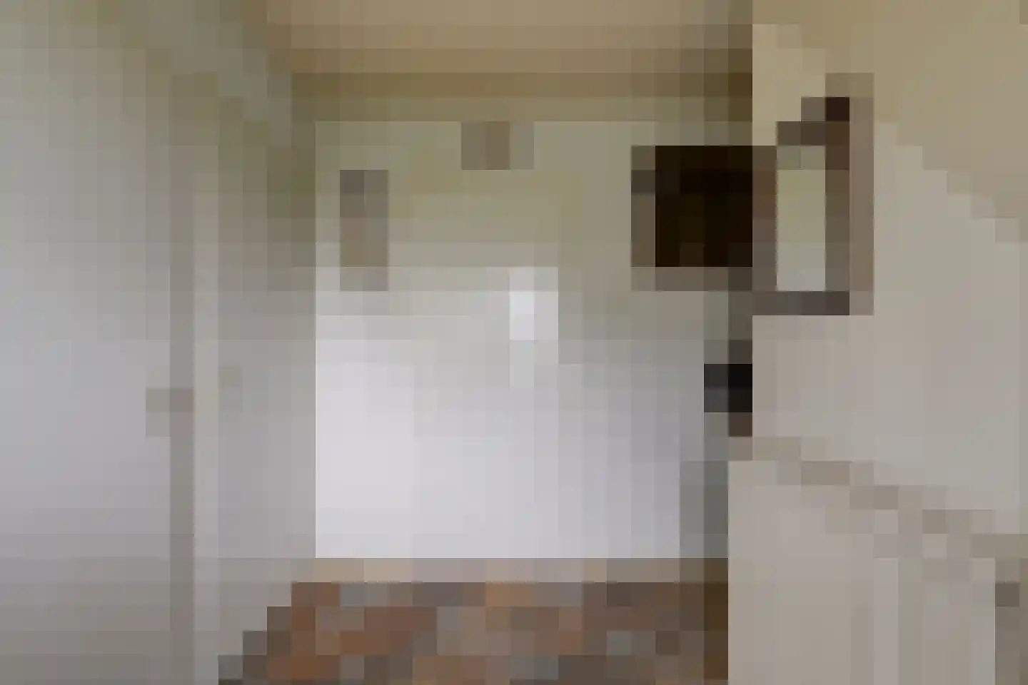 Hankse Buitenkade 55 Nieuwendijk thumbnail 12