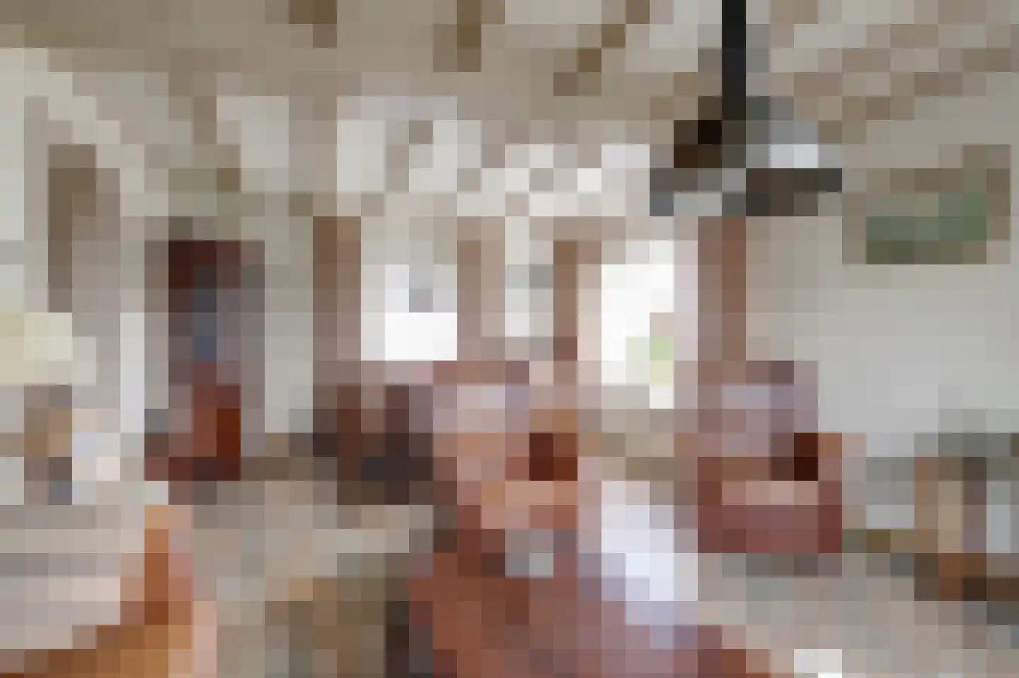 Hankse Buitenkade 55 Nieuwendijk thumbnail 17