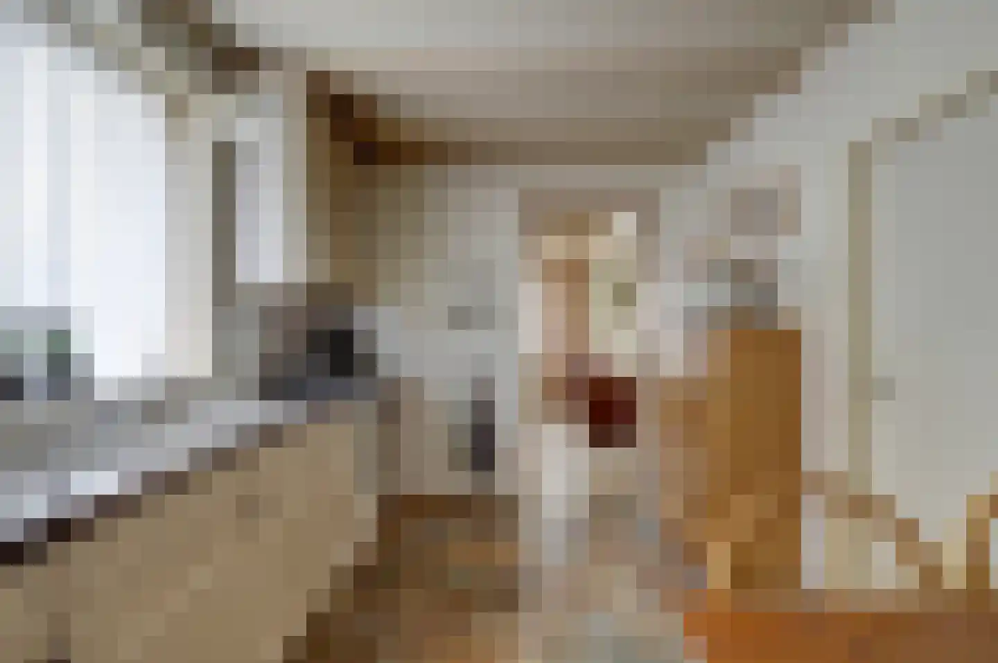 Hankse Buitenkade 55 Nieuwendijk thumbnail 22
