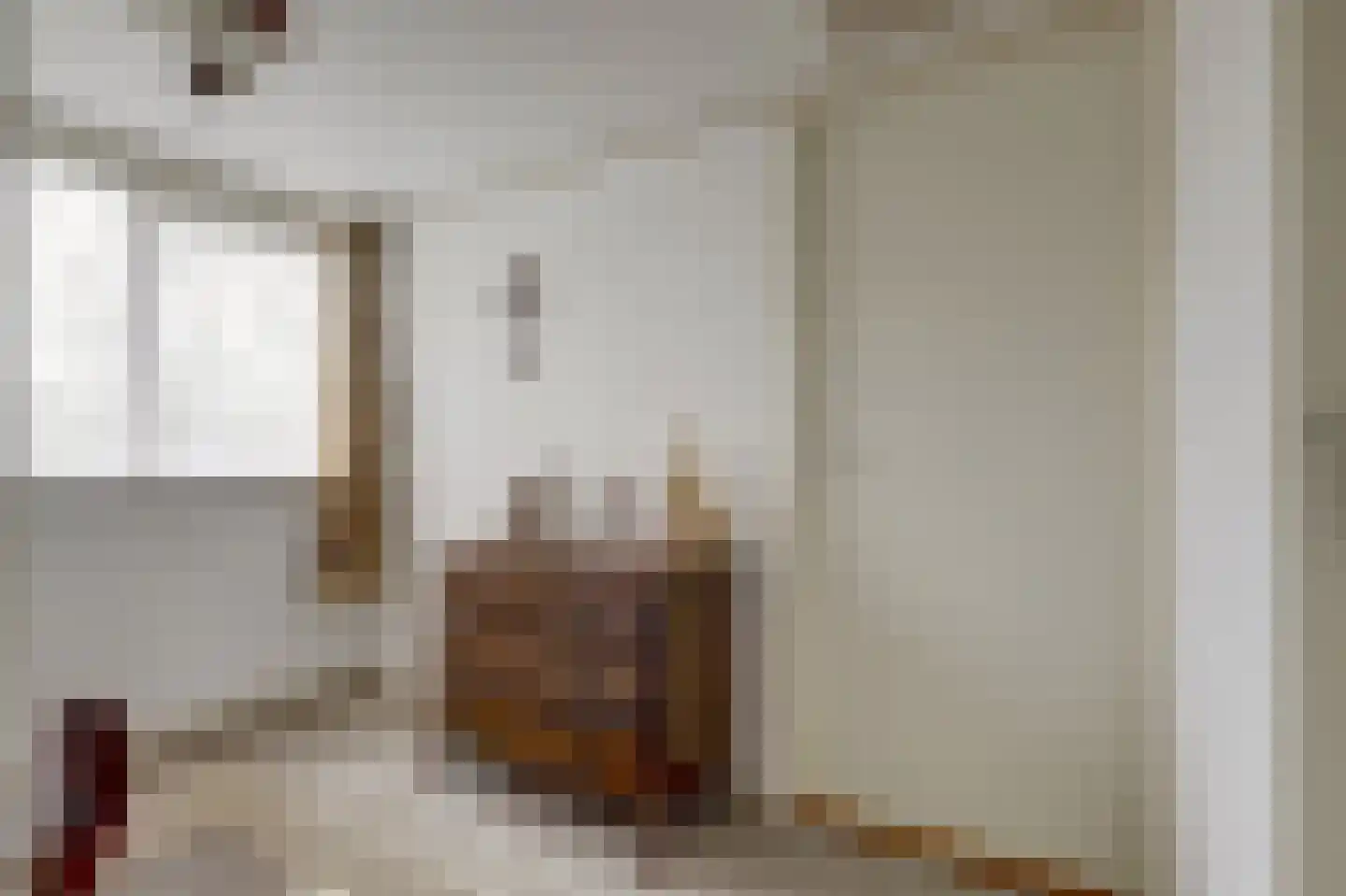 Hankse Buitenkade 55 Nieuwendijk thumbnail 29