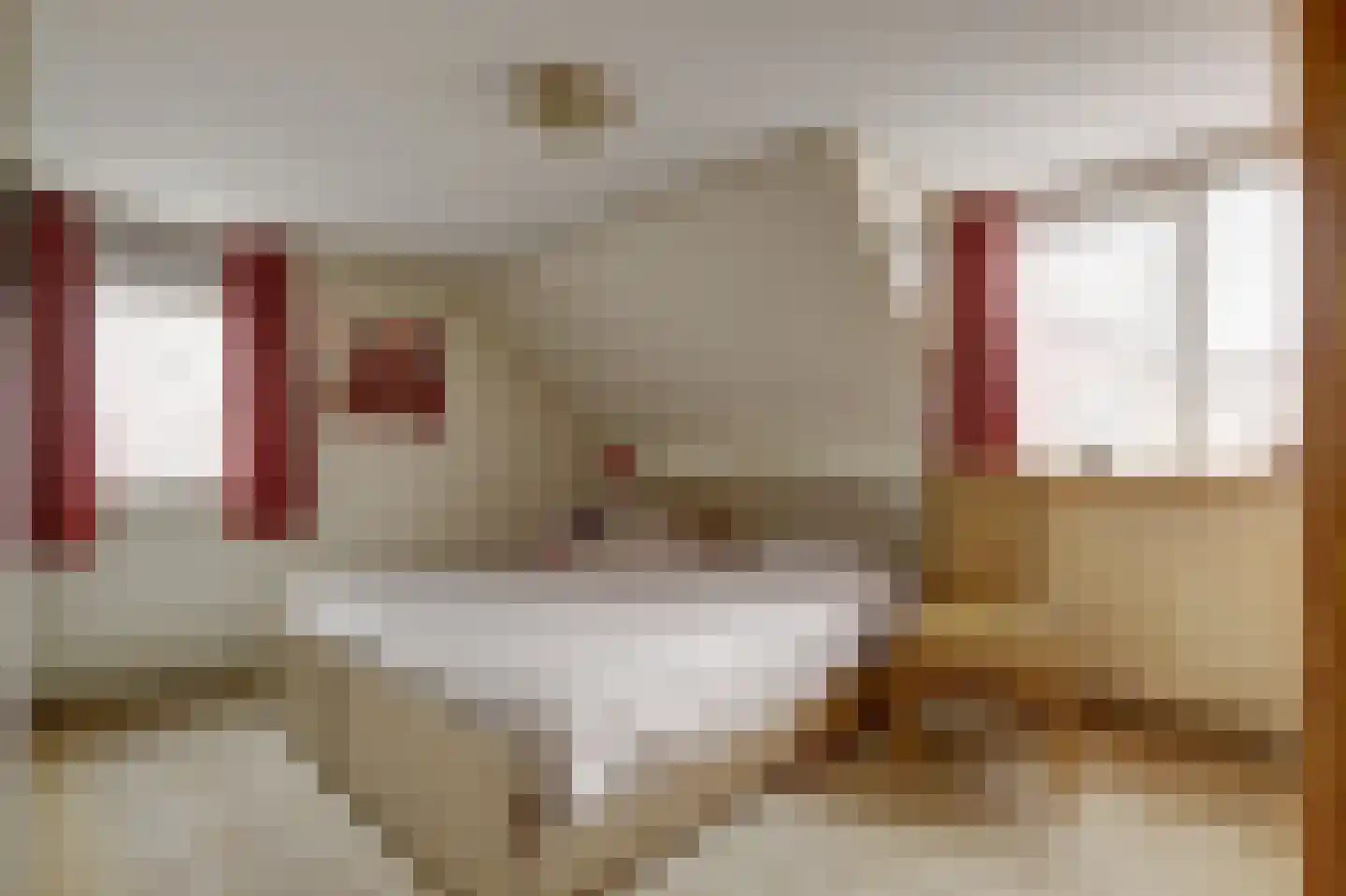 Hankse Buitenkade 55 Nieuwendijk thumbnail 30