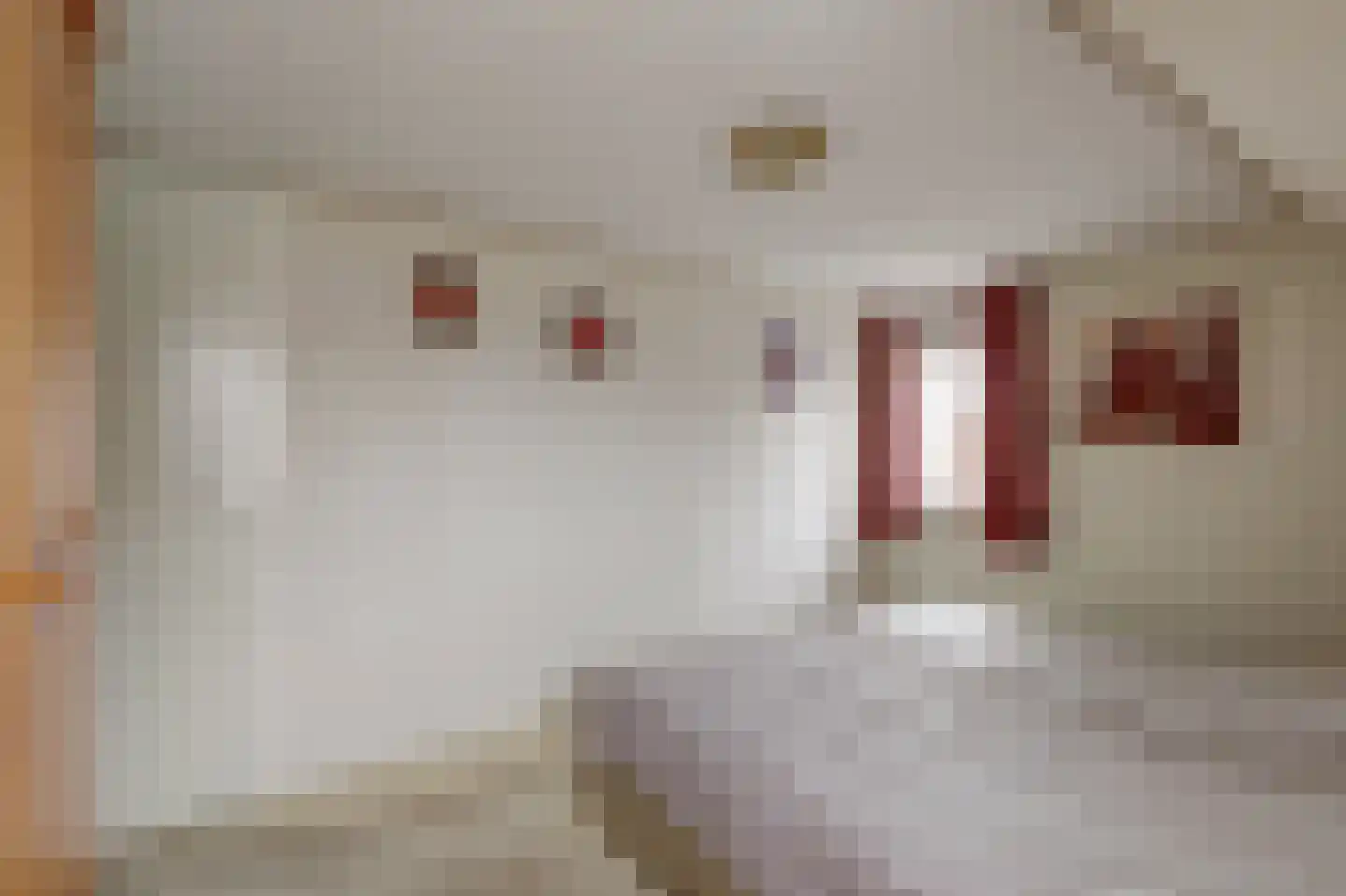Hankse Buitenkade 55 Nieuwendijk thumbnail 31