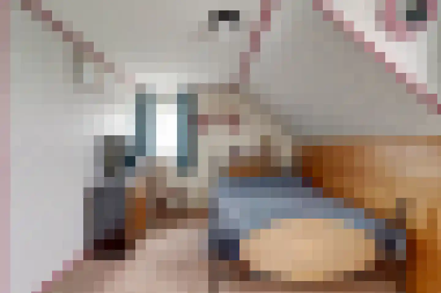 Hankse Buitenkade 55 Nieuwendijk thumbnail 32