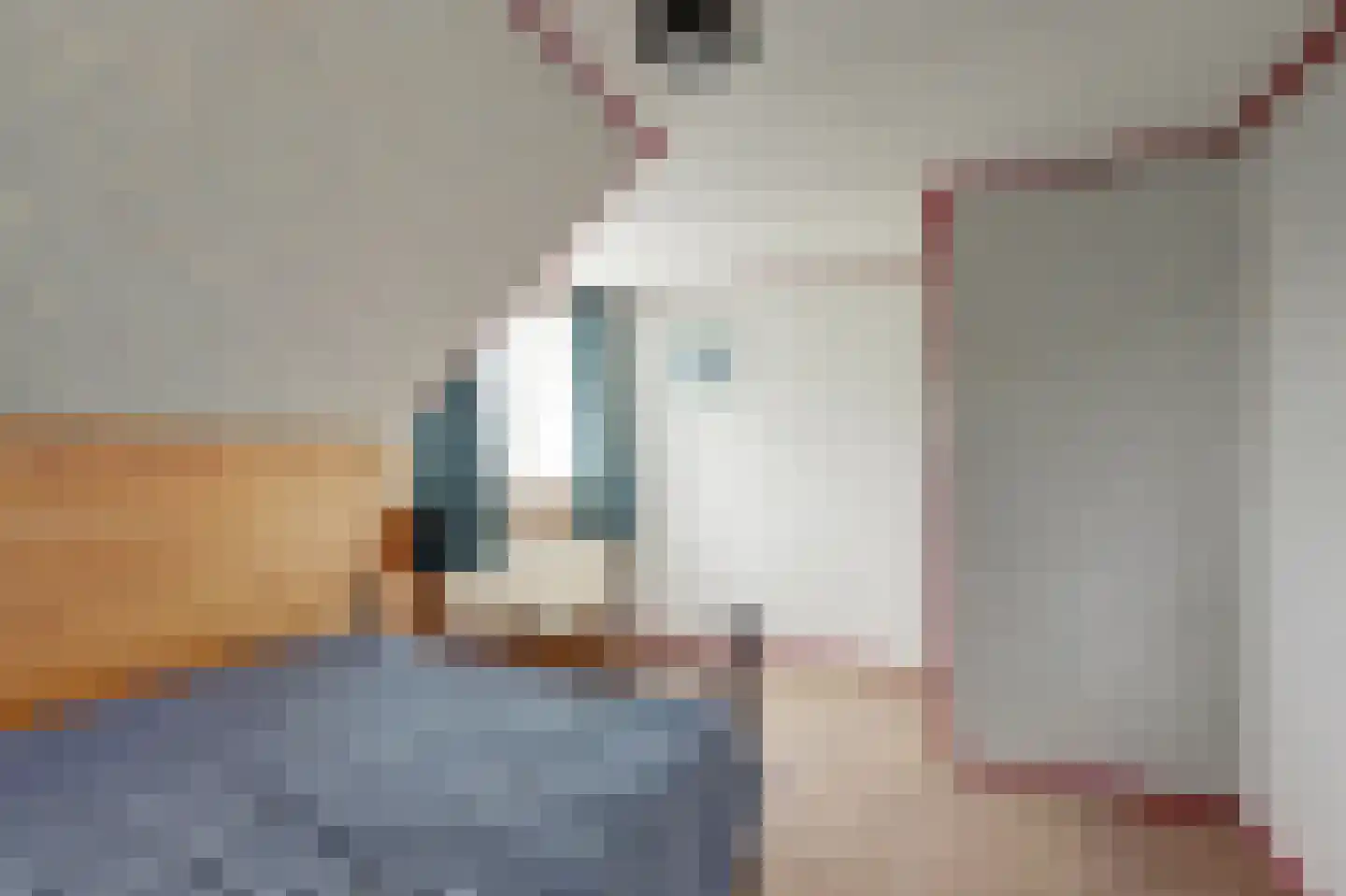 Hankse Buitenkade 55 Nieuwendijk thumbnail 33