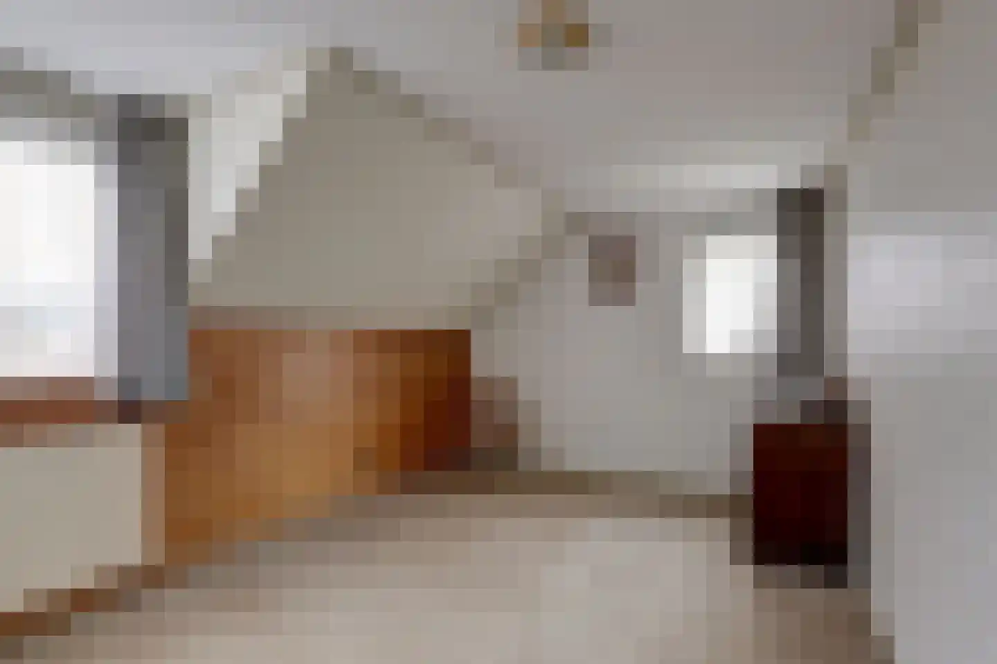 Hankse Buitenkade 55 Nieuwendijk thumbnail 34