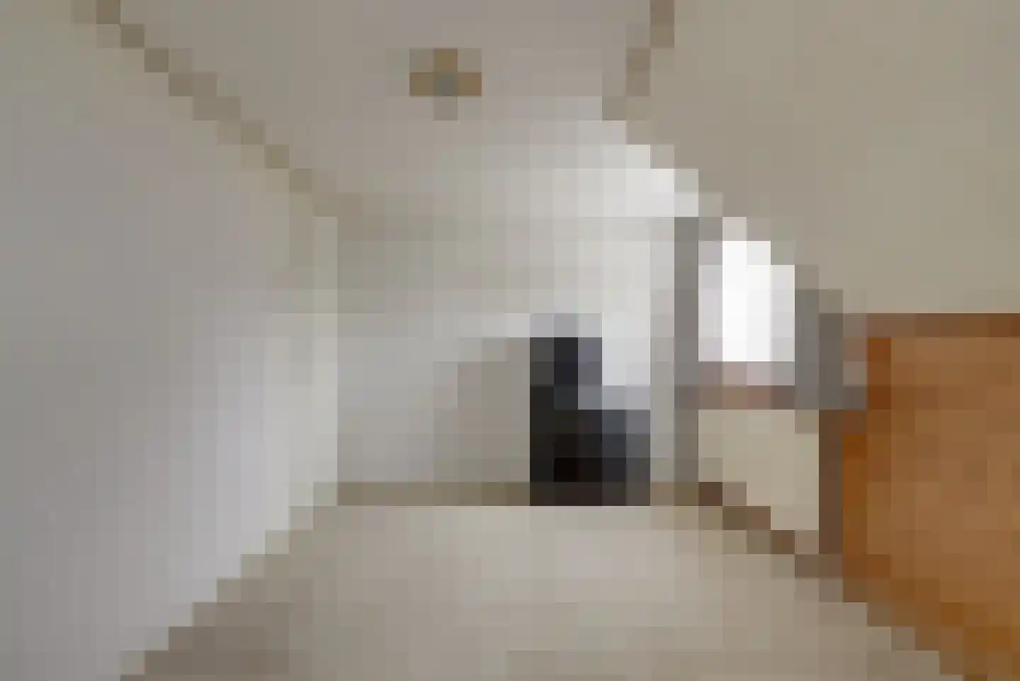 Hankse Buitenkade 55 Nieuwendijk thumbnail 35