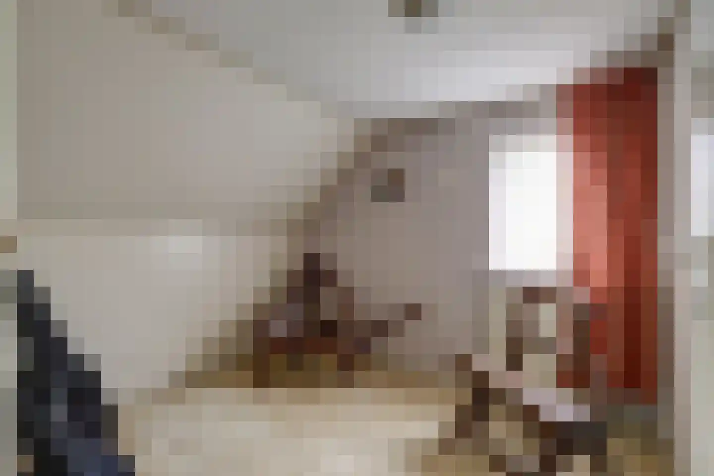 Hankse Buitenkade 55 Nieuwendijk thumbnail 36