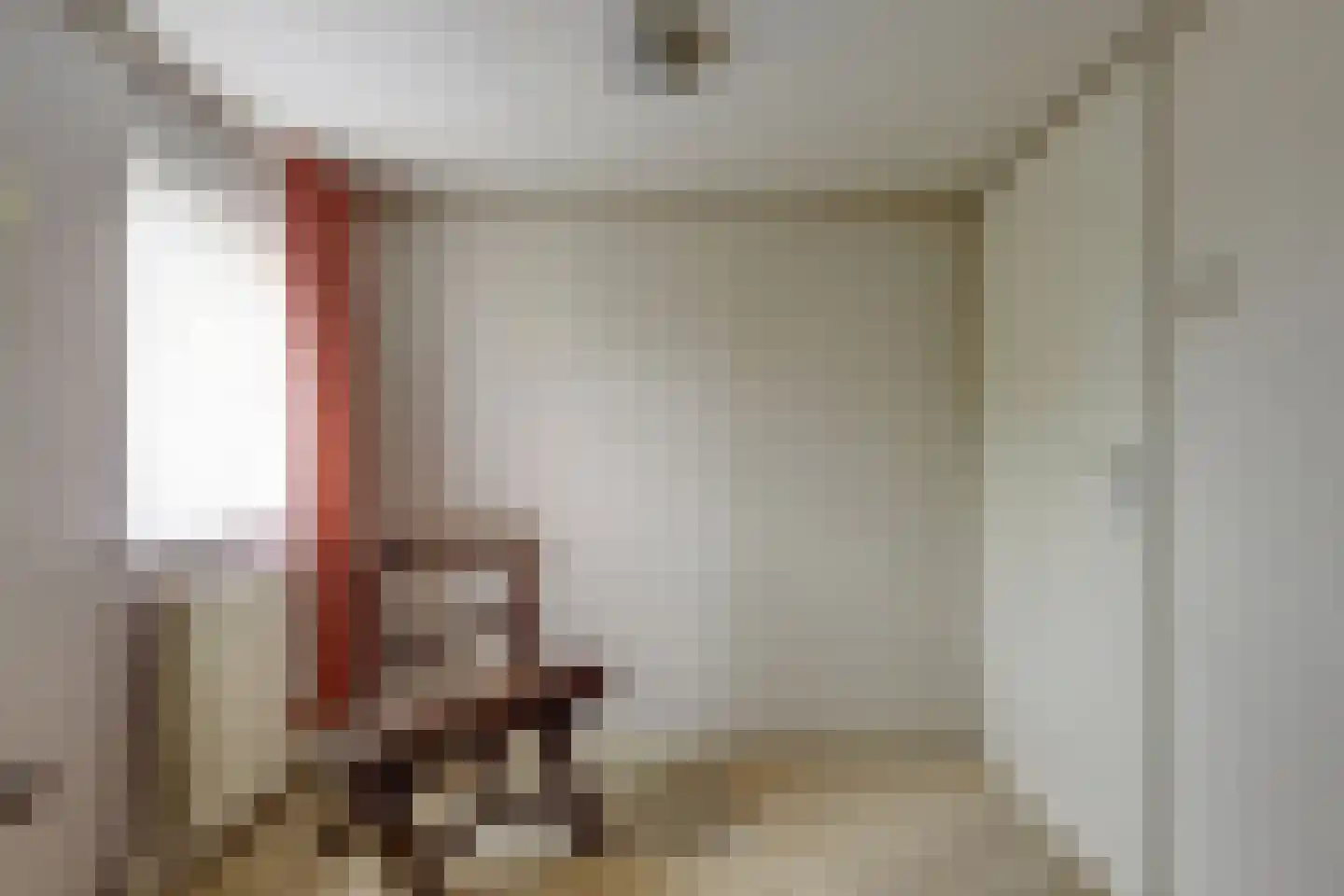Hankse Buitenkade 55 Nieuwendijk thumbnail 37