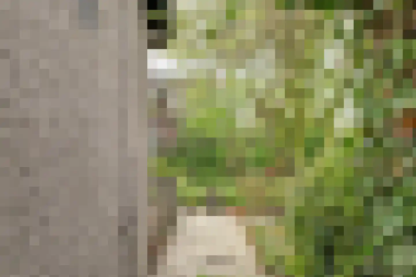 Hankse Buitenkade 55 Nieuwendijk thumbnail 39