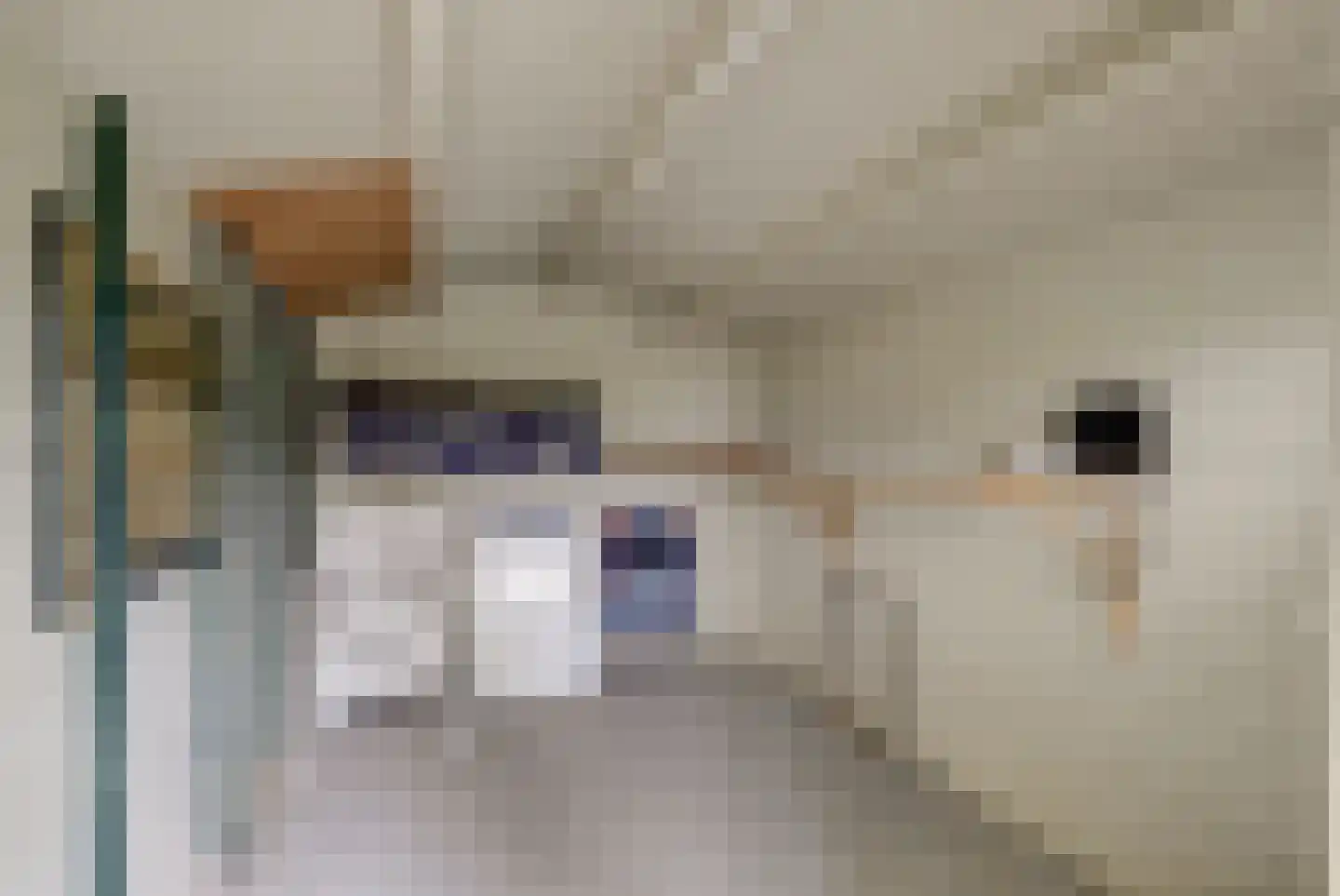 Hankse Buitenkade 55 Nieuwendijk thumbnail 44
