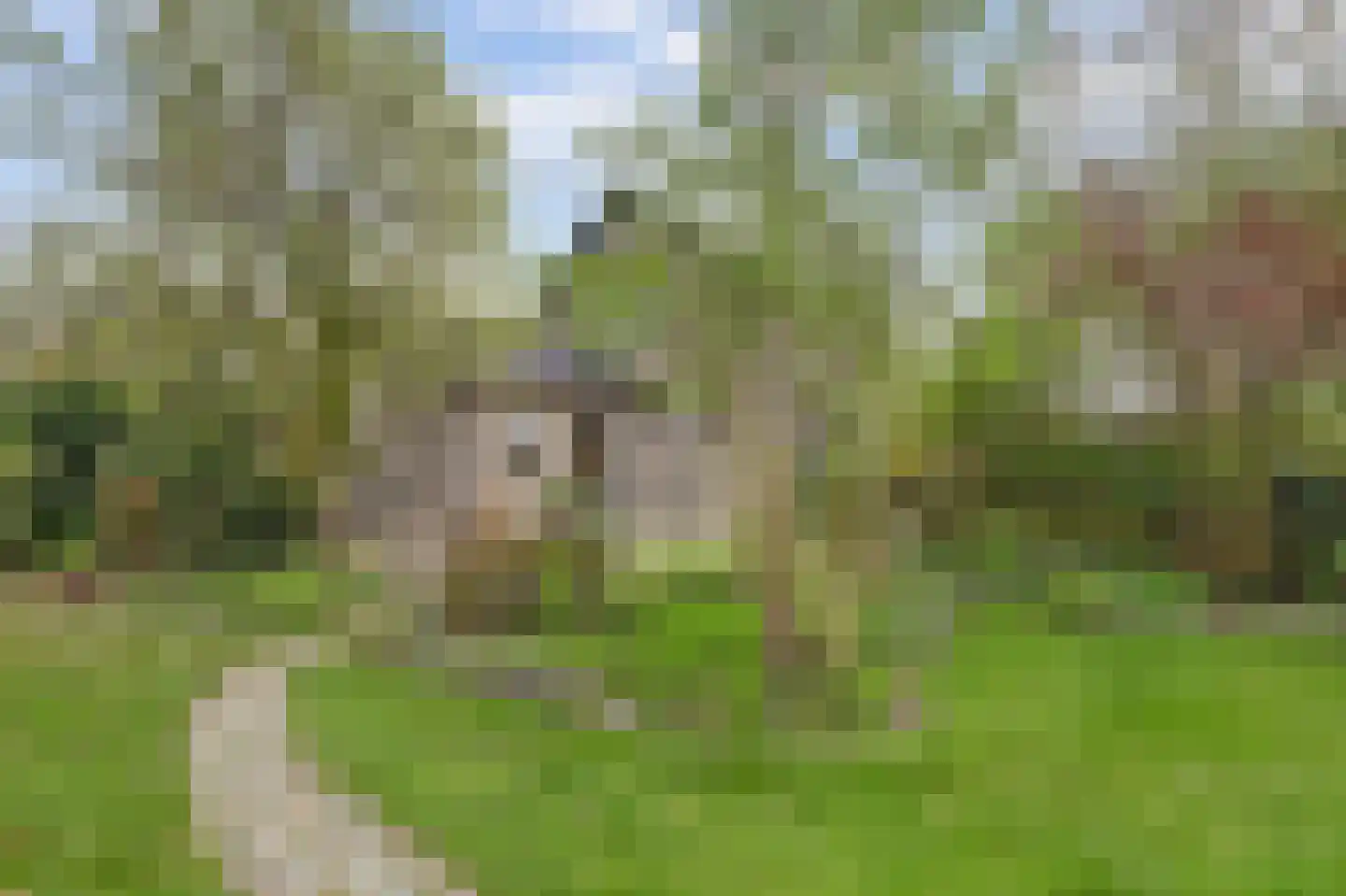 Hankse Buitenkade 55 Nieuwendijk thumbnail 45