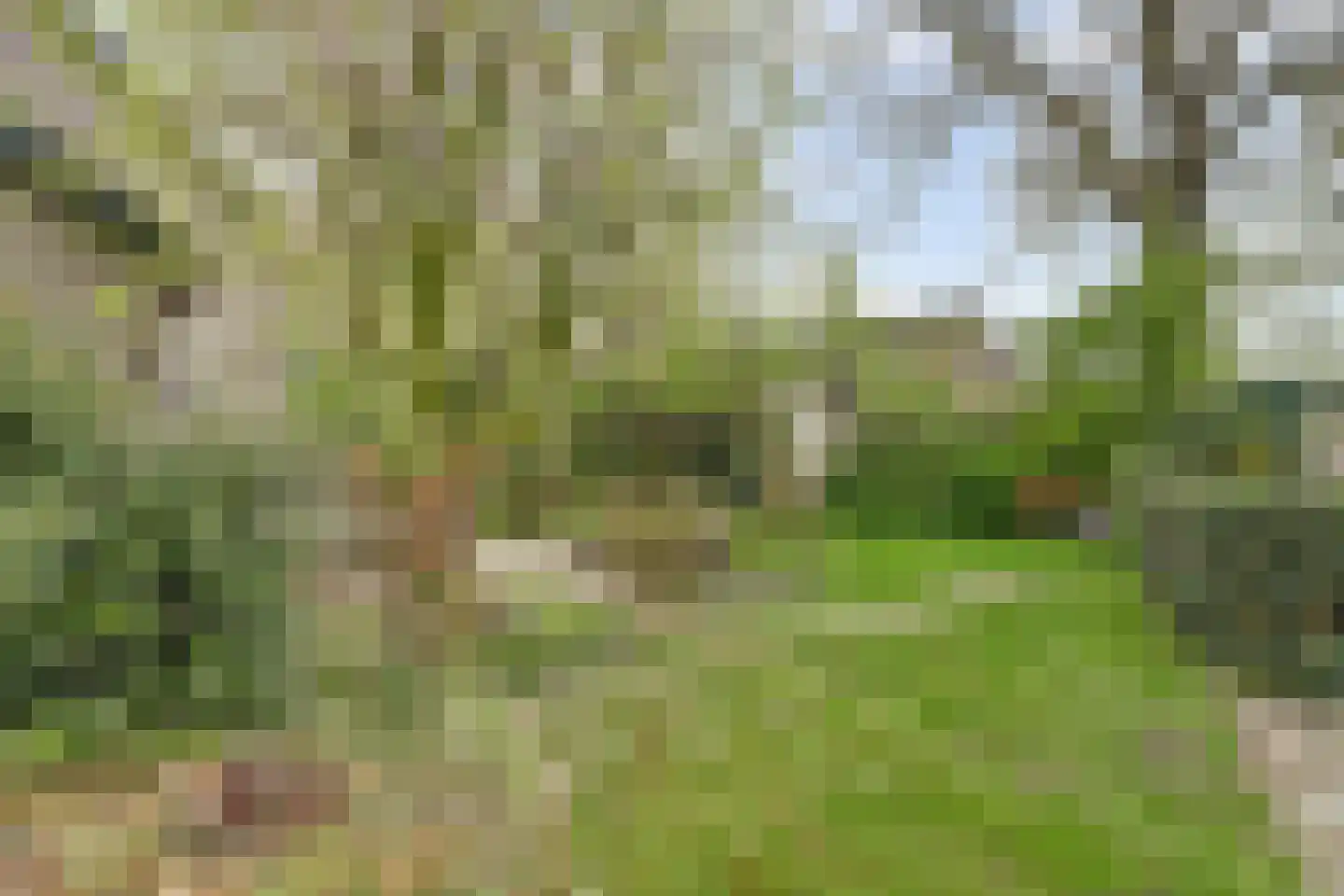 Hankse Buitenkade 55 Nieuwendijk thumbnail 46