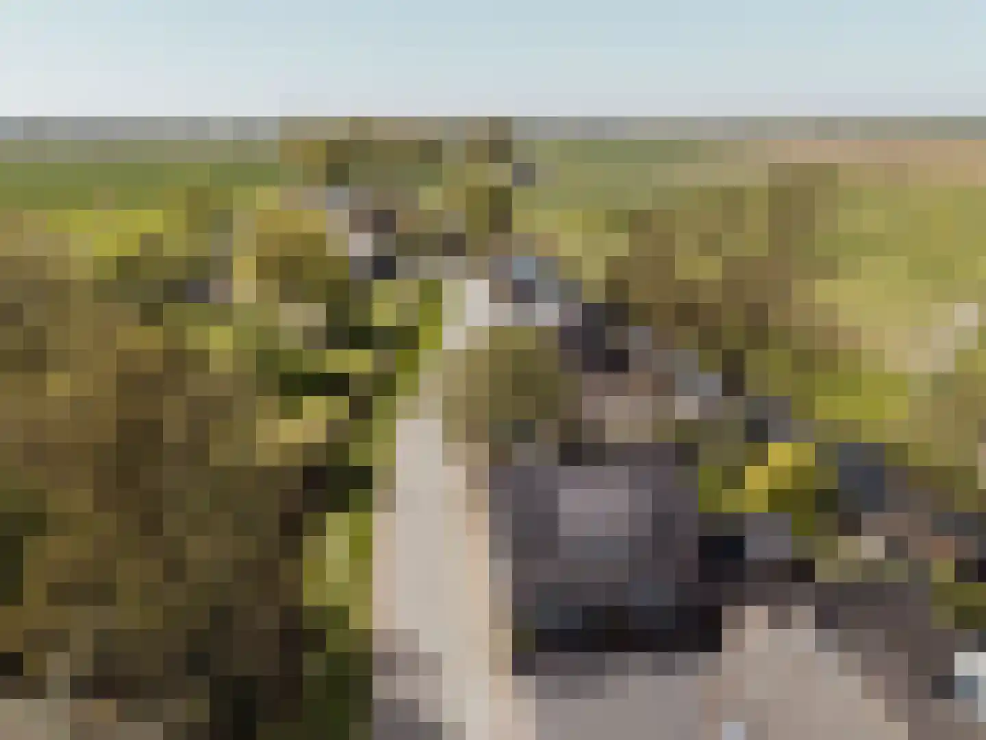 Hankse Buitenkade 55 Nieuwendijk thumbnail 53