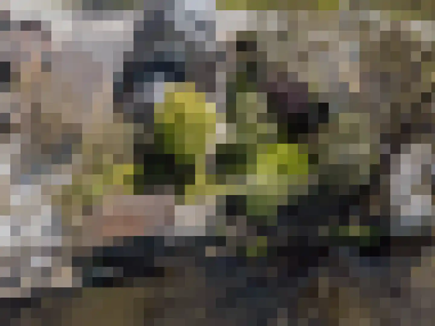 Hankse Buitenkade 55 Nieuwendijk thumbnail 55