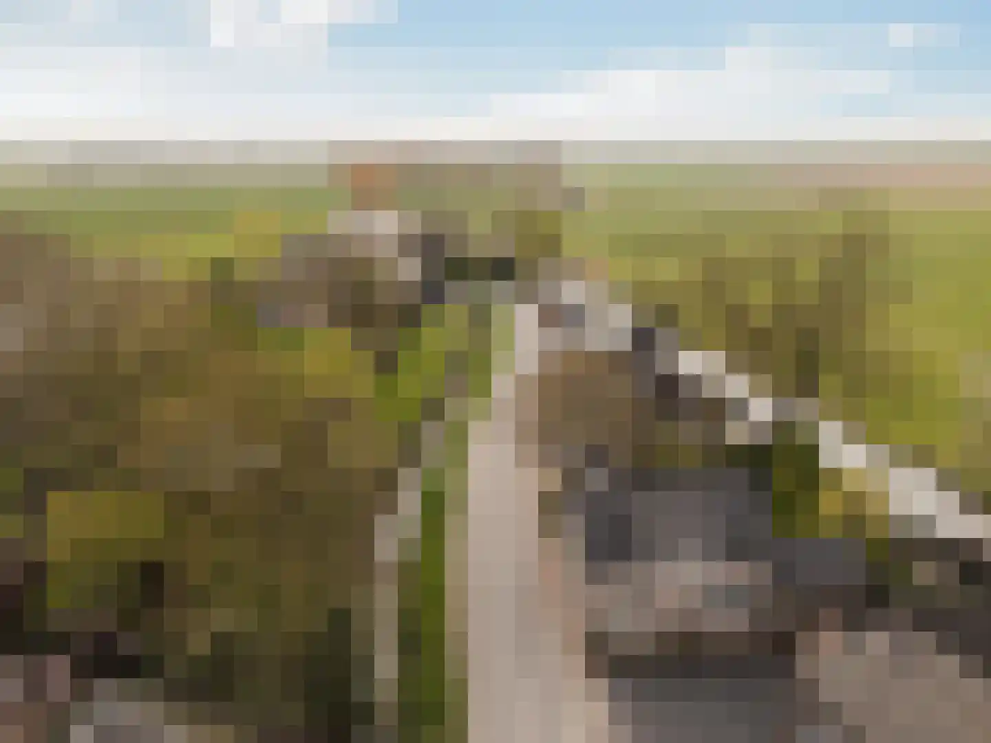 Hankse Buitenkade 55 Nieuwendijk thumbnail 7