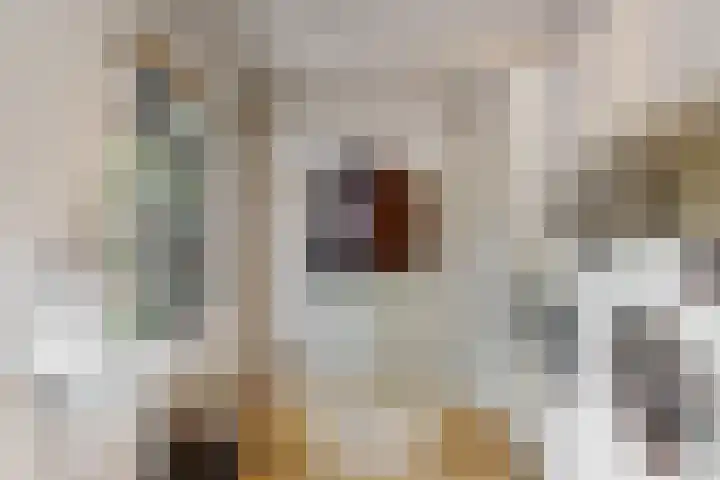 Hankweg 2 Renkum thumbnail 11