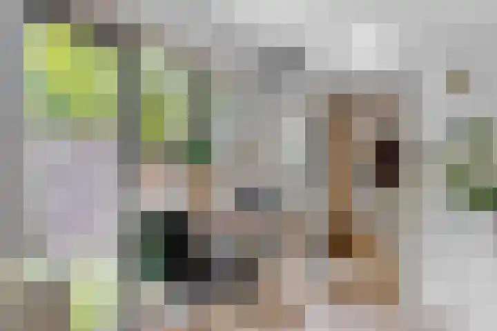 Hankweg 2 Renkum thumbnail 15