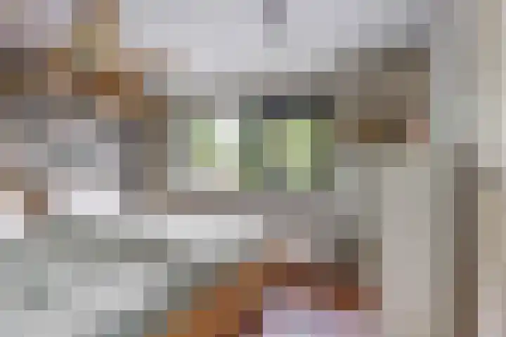 Hankweg 2 Renkum thumbnail 20