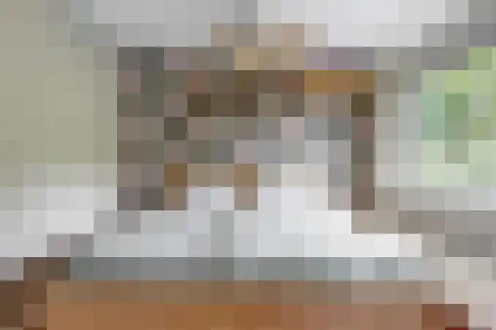 Hankweg 2 Renkum thumbnail 22