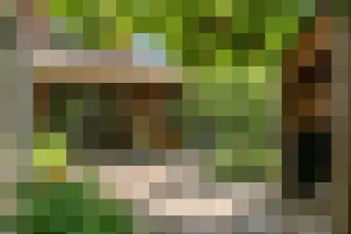 Hankweg 2 Renkum thumbnail 31