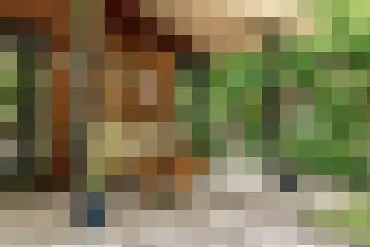 Hankweg 2 Renkum thumbnail 33