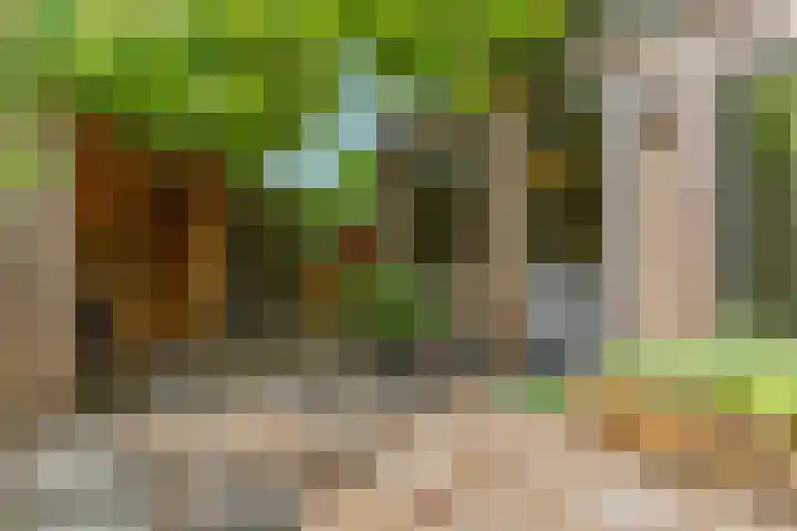 Hankweg 2 Renkum thumbnail 34