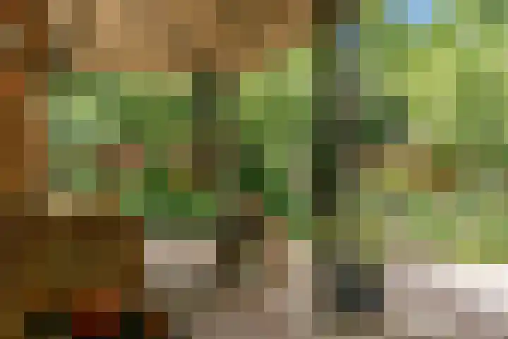 Hankweg 2 Renkum thumbnail 35