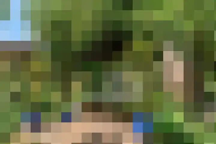 Hankweg 2 Renkum thumbnail 37