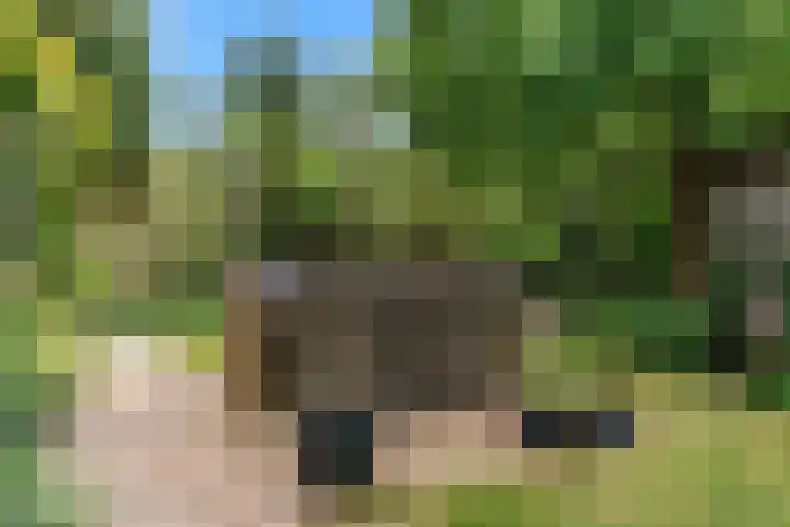 Hankweg 2 Renkum thumbnail 42