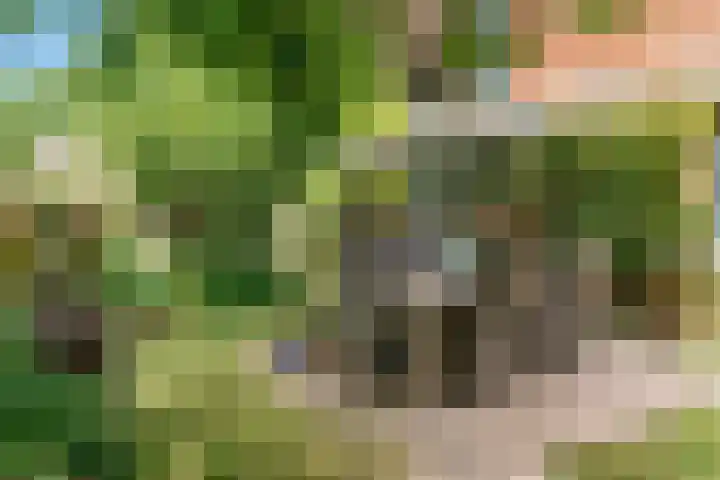 Hankweg 2 Renkum thumbnail 44