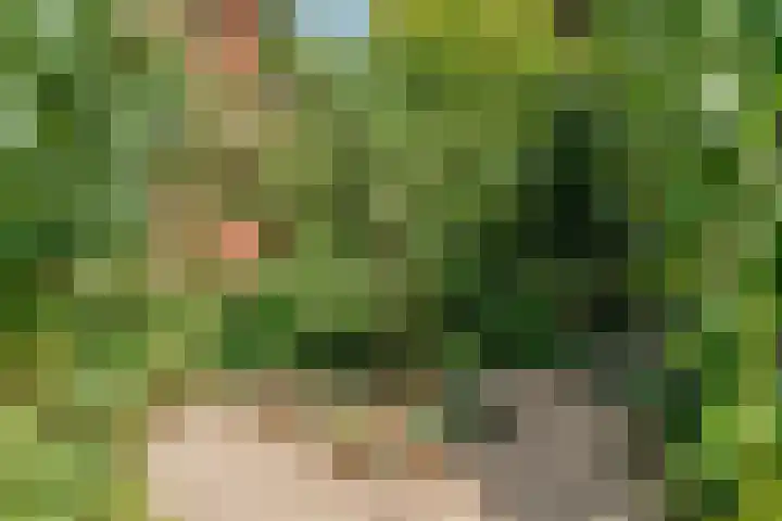 Hankweg 2 Renkum thumbnail 46