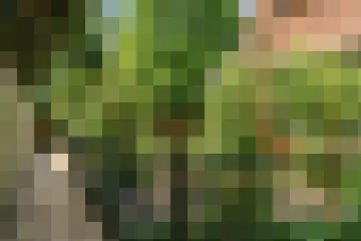 Hankweg 2 Renkum thumbnail 49