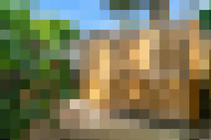 Hankweg 2 Renkum thumbnail 51