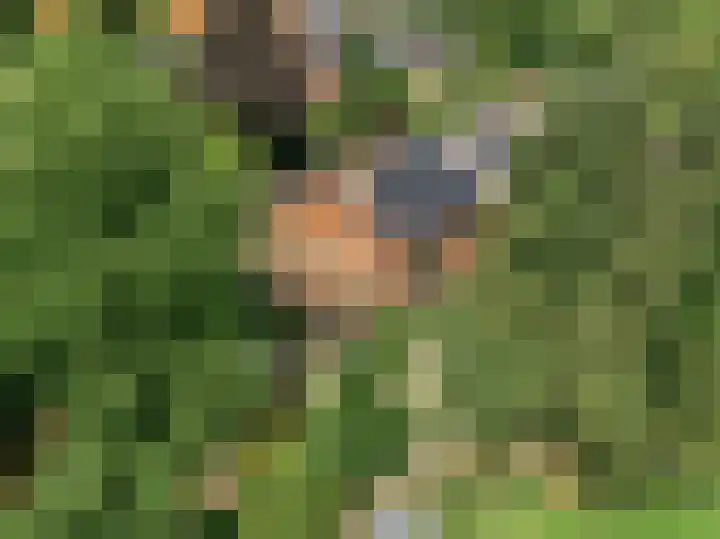 Hankweg 2 Renkum thumbnail 54
